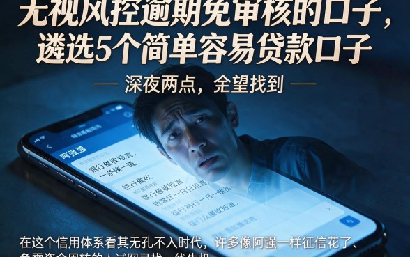 无视风控逾期免审核的口子,遴选5个简单容易贷款口子