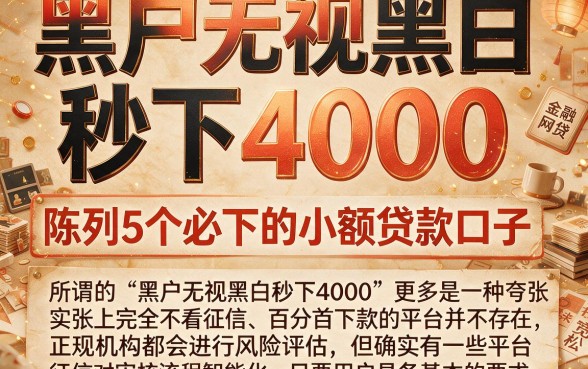黑户无视黑白 秒下4000，陈列5个必下的小额贷款口子