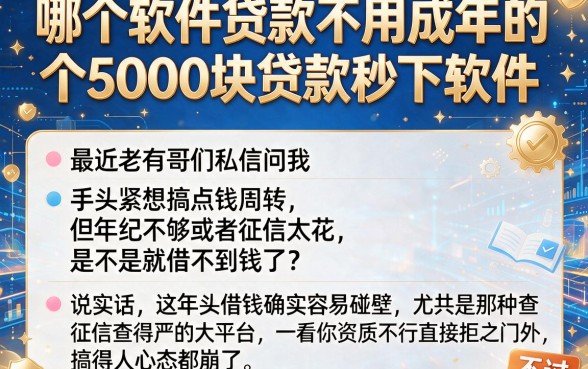 哪个软件贷款不用成年的,梳理五个5000块贷款秒下软件