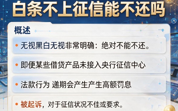 白条不上征信能不还吗,概括5个无视黑白无视征信申请就下款的app