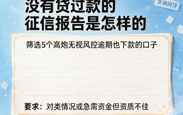 没有贷过款的征信报告是怎样的,筛选5个高炮无视风控逾期也下款的口子