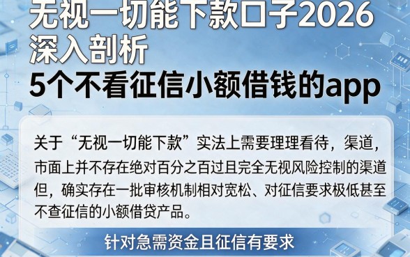 无视一切能下款口子2026,深入剖析5个不看征信小额借钱的app