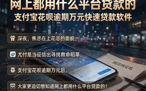 网上都用什么平台贷款的,规整五个支付宝花呗逾期万元快速贷款软件
