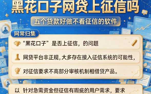 黑花口子网贷上征信吗，归集五个贷款好做不看征信的软件