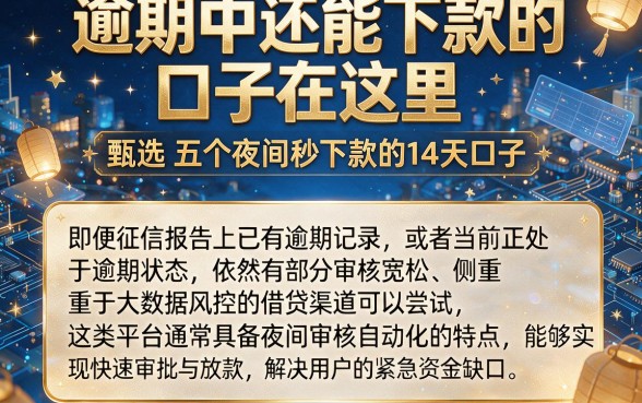 逾期中还能下款的口子在这里，甄选五个夜间秒下款的14天口子