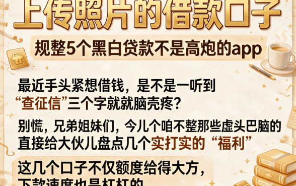 上传照片的借款口子,规整5个黑白贷款不是高炮的app