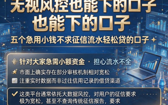 无视风控也能下的口子,深入剖析五个急用小钱不求征信流水轻松贷的口子