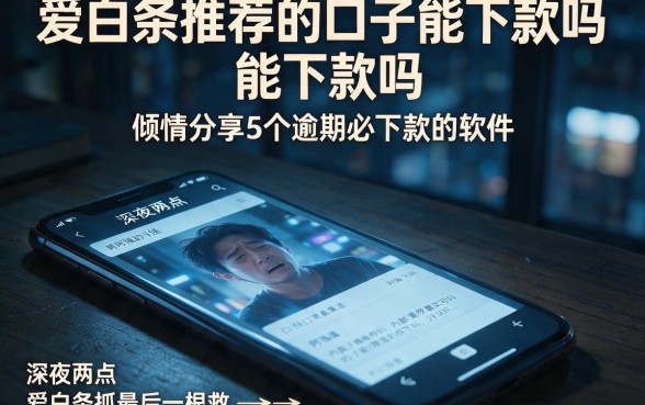 爱白条推荐的口子能下款吗,倾情分享5个逾期必下款的软件