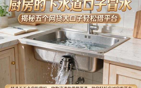 厨房的下水道口子冒水,揭秘五个网贷大口子轻松借平台