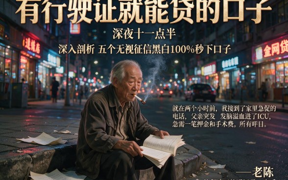 有行驶证就能贷的口子，深入剖析五个无视征信黑白100%秒下口子
