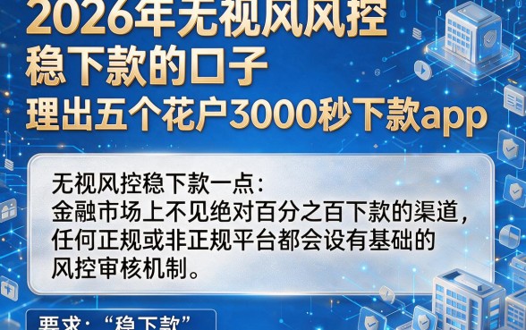 2026年无视风控稳下款的口子,理出五个花户3000秒下款app