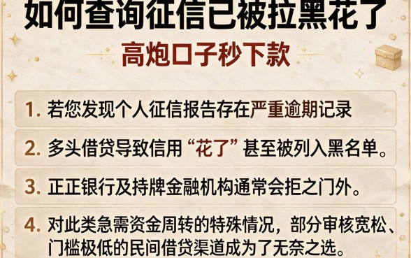 如何查询征信已被拉黑花了,条列五个高炮口子秒下款