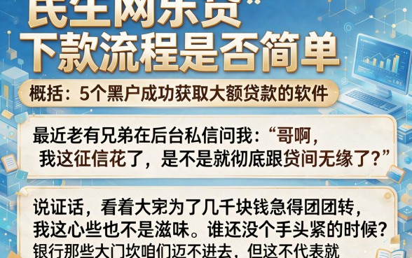 民生网乐贷下款流程是否简单,概括5个黑户成功获取大额贷款的软件