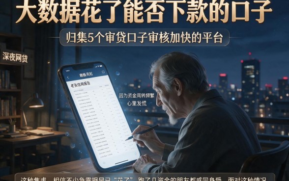 大数据花了能否下款的口子，归集5个审贷口子审核加快的平台