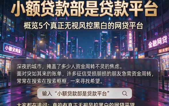 小额贷款部是贷款平台,概览5个真正无视风控黑白的网贷平台