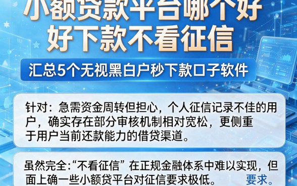 小额贷款平台哪个好下款不看征信，汇总5个无视黑白户秒下款口子软件