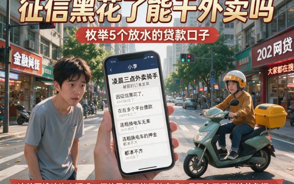 征信黑花了能干外卖吗，枚举5个放水的贷款口子