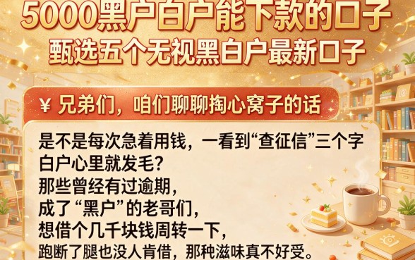 5000黑户白户能下款的口子,甄选五个无视黑白户最新口子