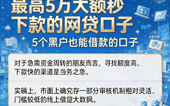 最高5万大额秒下款的网贷口子,详细阐述5个黑户也能借款的口子