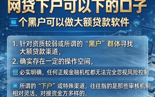 网贷下户可以下的口子，理出五个黑户可以做大额贷款软件