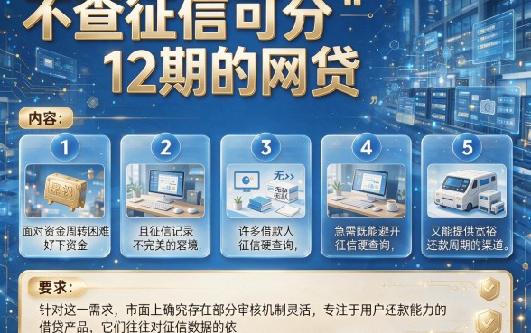 不查征信可分12期的网贷，条列五个无视黑白好下款的口子