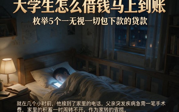 大学生怎么借钱马上到账,枚举5个无视一切包下款的贷款