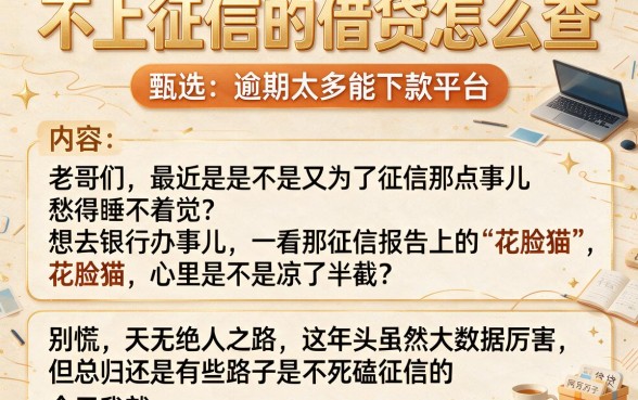 不上征信的借贷怎么查，甄选五个逾期太多能下款平台