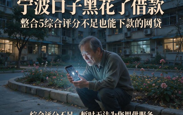 宁波口子黑花了借款,整合5个综合评分不足也能下款的网贷