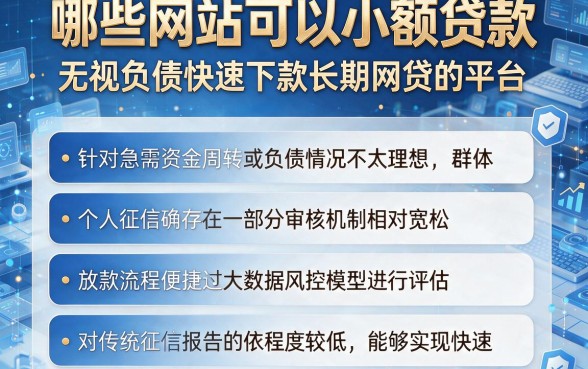 哪些网站可以小额贷款,深入剖析五个无视负债快速下款长期网贷的平台
