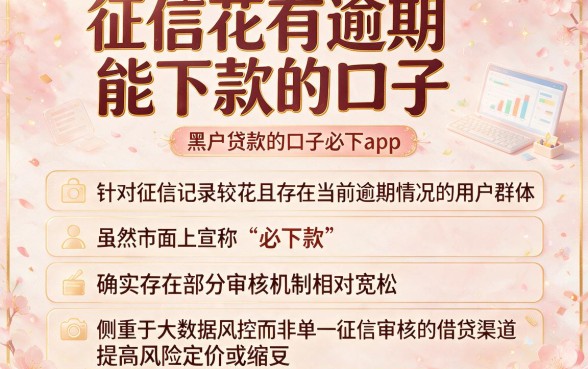 征信花有逾期能下款的口子,概括五个黑户贷款的口子必下app