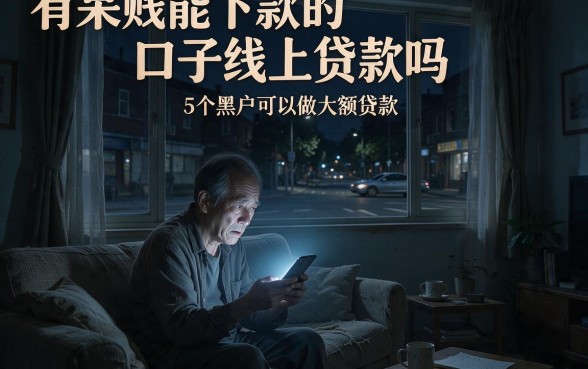 有呆账能下款的口子线上贷款吗,详细阐述5个黑户可以做大额贷款口子