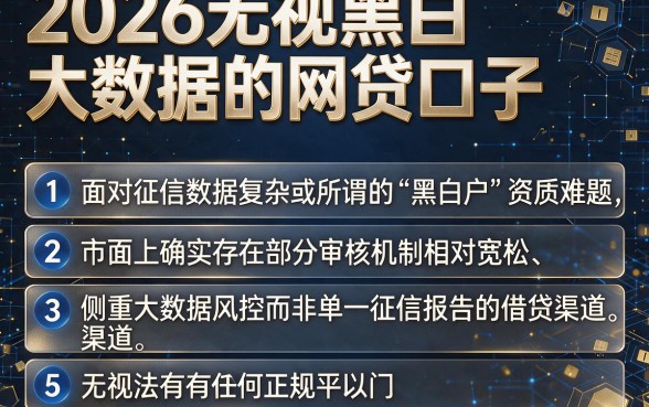 2026无视黑白大数据的网贷口子，条列5个无视黑户秒下的口子