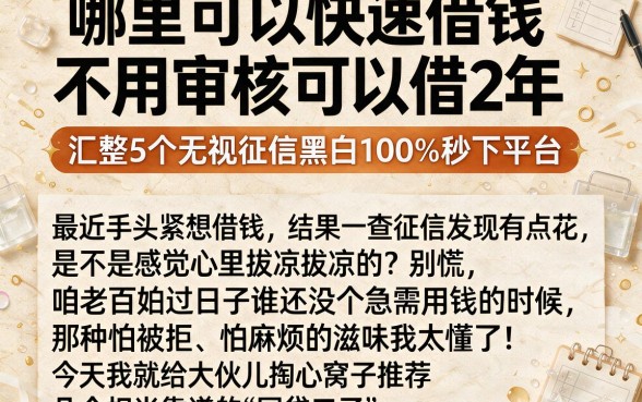 哪里可以快速借钱不用审核可以借2年,汇整5个无视征信黑白100%秒下平台