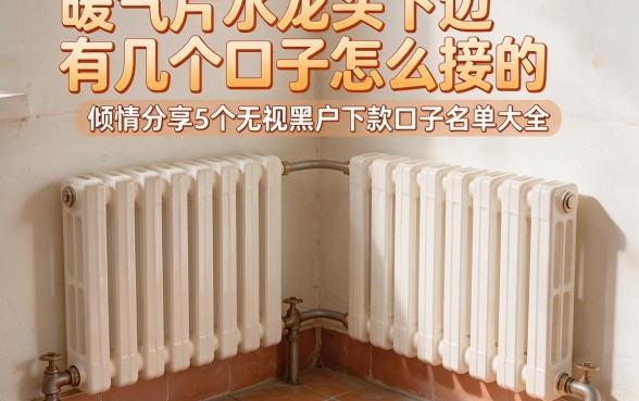 暖气片水龙头下边有几个口子怎么接的，倾情分享5个无视黑户下款口子名单大全