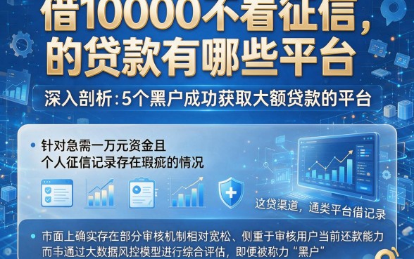 借10000不看征信的贷款有哪些平台,深入剖析5个黑户成功获取大额贷款的平台