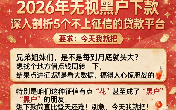 2026年无视黑户下款，深入剖析5个不上征信的贷款平台