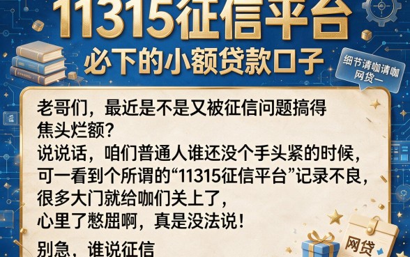 11315征信平台,概括五个必下的小额贷款口子