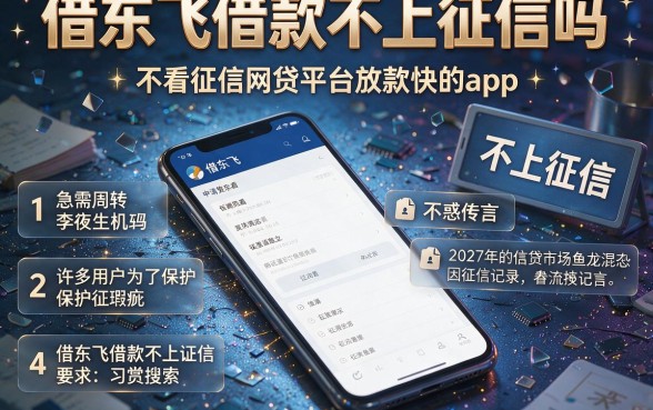 借东飞借款不上征信吗,归纳五个不看征信网贷平台放款快的app