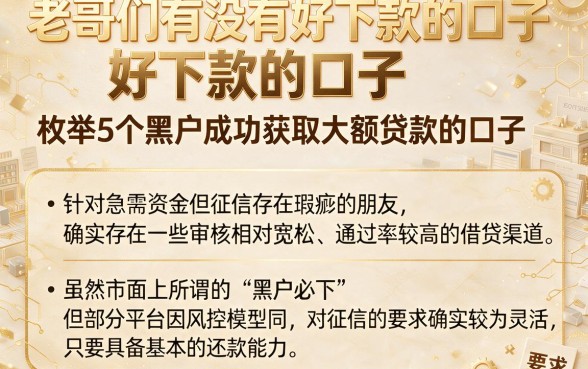 老哥们有没有好下款的口子,枚举5个黑户成功获取大额贷款的口子