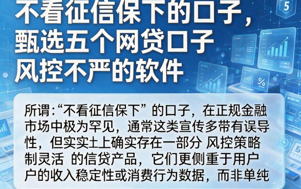 不看征信保下的口子,甄选五个网贷口子风控不严的软件