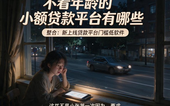不看年龄的小额贷款平台有哪些,整合五个新上线贷款平台门槛低软件