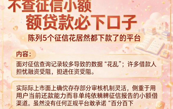 不查征信小额贷款必下口子,陈列5个征信花居然都下款了的平台