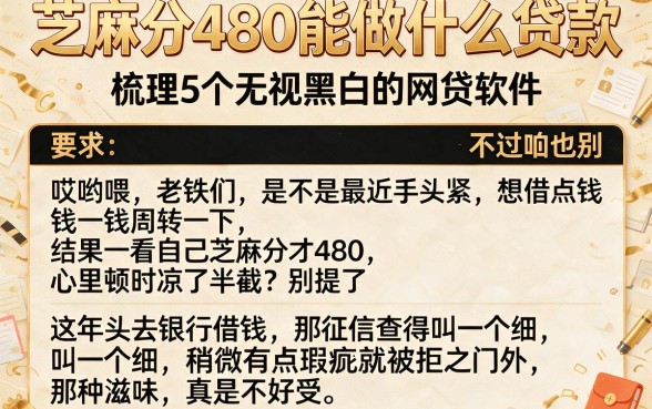 芝麻分480能做什么贷款,梳理5个无视黑白的网贷软件