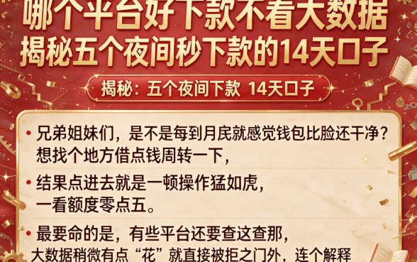 哪个平台好下款不看大数据,揭秘五个夜间秒下款的14天口子