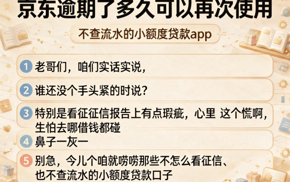 京东逾期了多久可以再次使用，条列五个不查流水的小额度贷款app