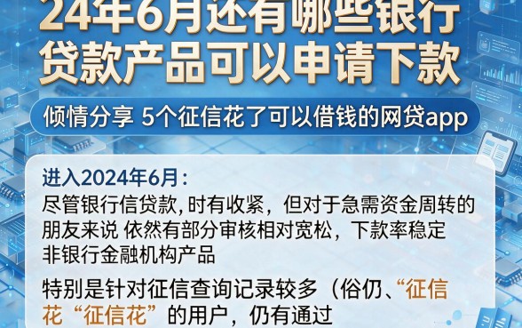 24年6月还有哪些银行贷款产品可以申请下款,倾情分享5个征信花了可以借钱的网贷app