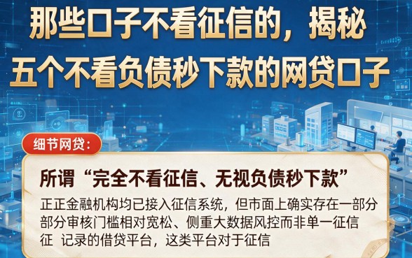 那些口子不看征信的,揭秘五个不看负债秒下款的网贷口子