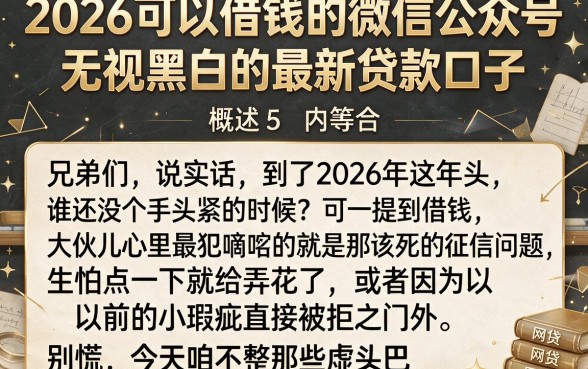 2026可以借钱的微信公众号,概括5个无视黑白的最新贷款口子