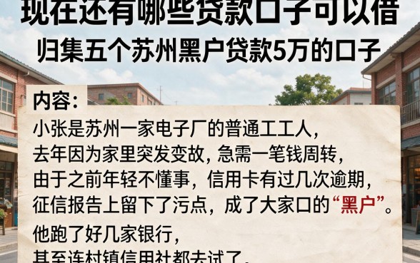 现在还有哪些贷款口子可以借,归集五个苏州黑户贷款5万的口子