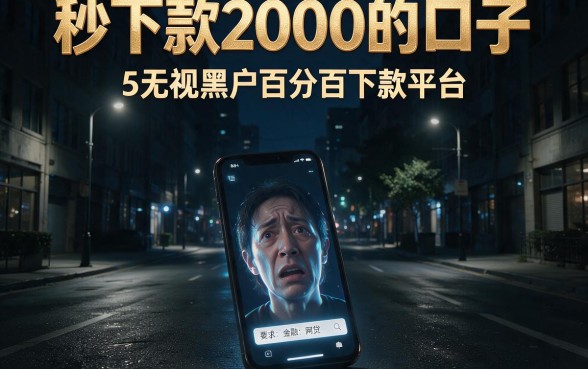 秒下款2000的口子,详细阐述5个无视黑户百分百下款平台